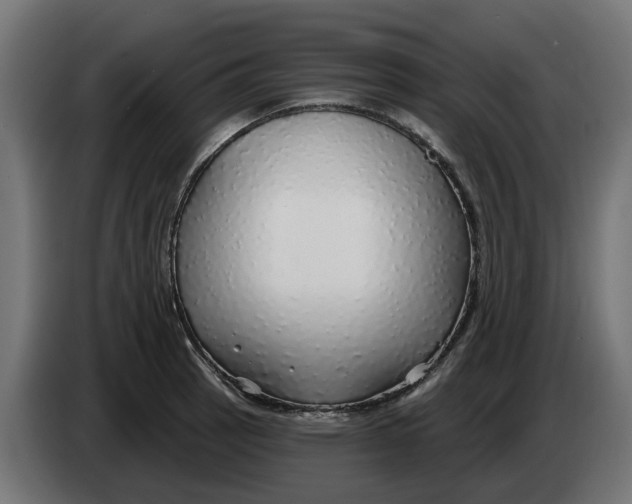 X0000083551137200703021644