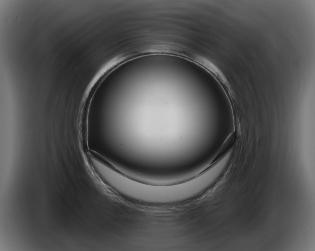 X0000083551138200703021644