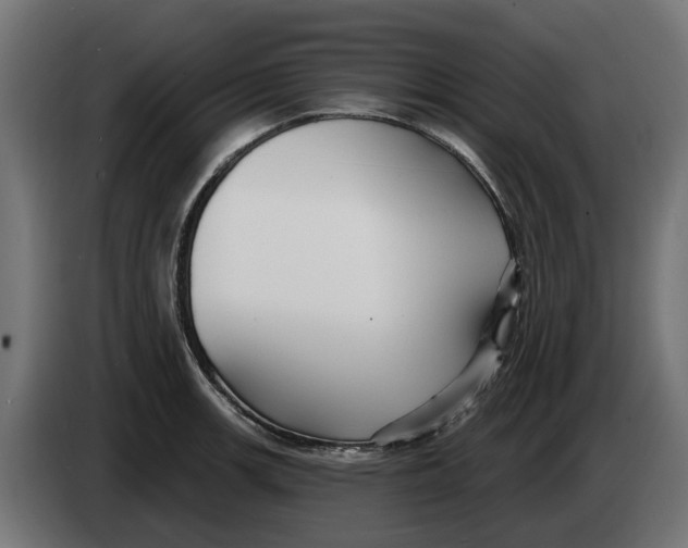 X0000083551139200703021644