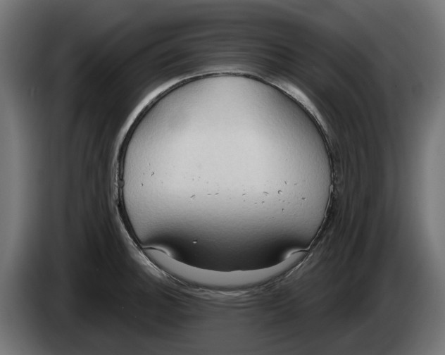 X0000083551140200703021644