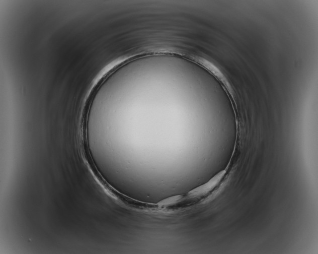 X0000083551141200703021644