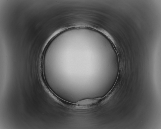 X0000083551142200703021644