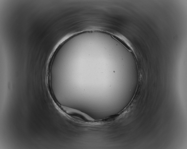 X0000083551143200703021644