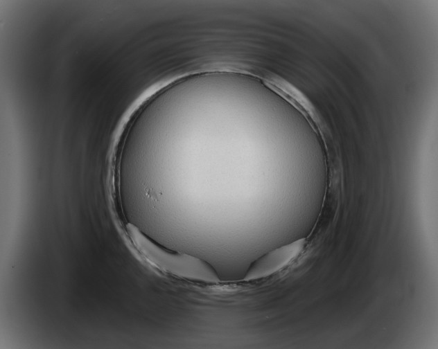 X0000083551144200703021644