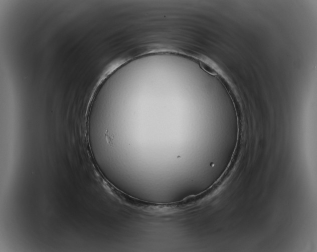 X0000083551145200703021644