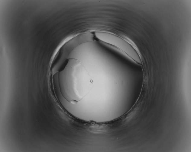 X0000083551146200703021644