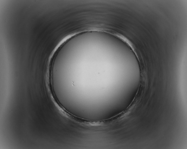 X0000083551147200703021644