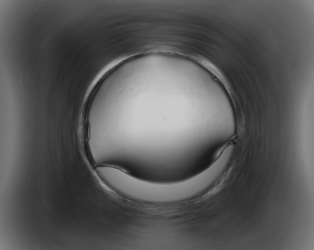 X0000083551149200703021644