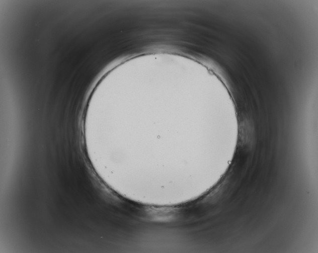 X0000083551150200703021644