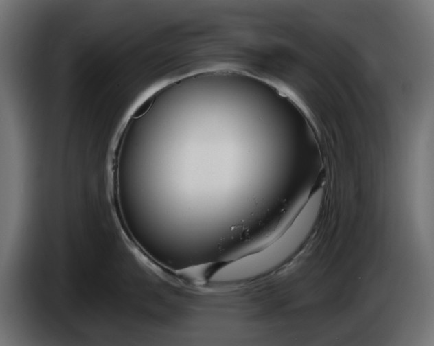 X0000083551151200703021644