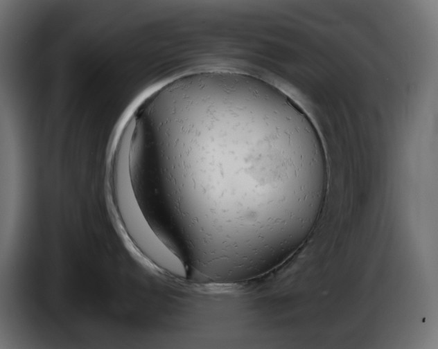 X0000083551152200703021644