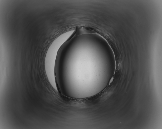 X0000083551156200703021643