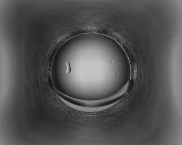 X0000083551157200703021643