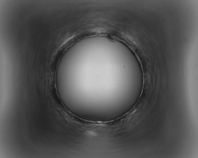 X0000083551158200703021643