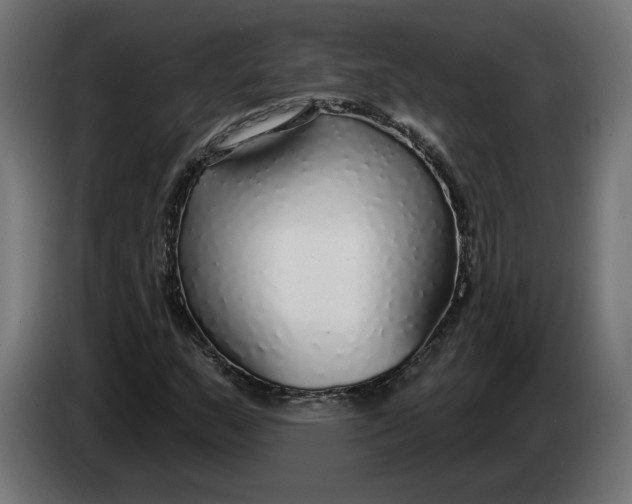 X0000083551159200703021643