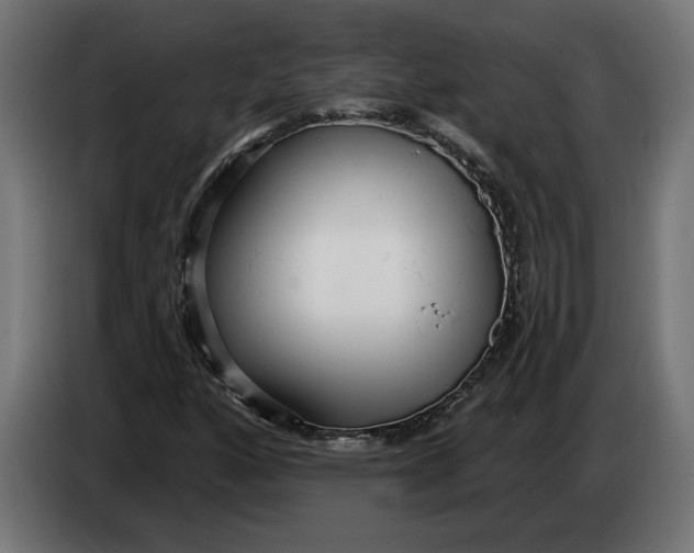 X0000083551160200703021643