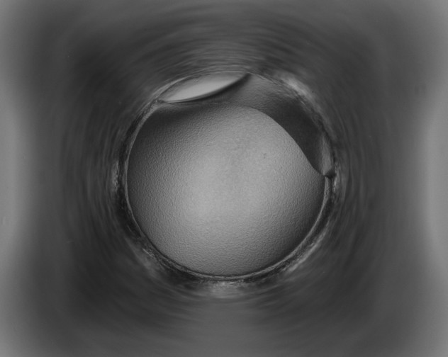 X0000083551161200703021643