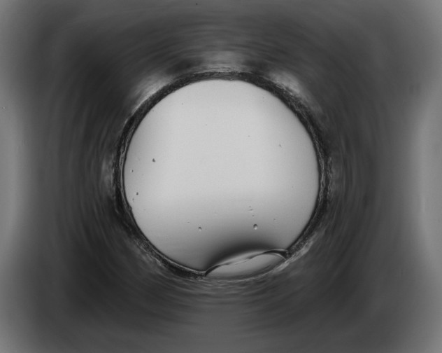 X0000083551162200703021643