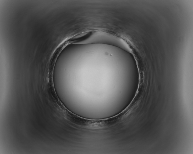 X0000083551165200703021643