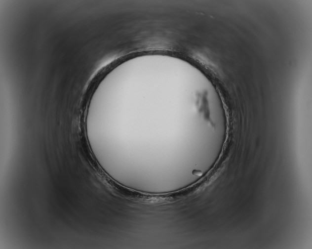 X0000083551166200703021643