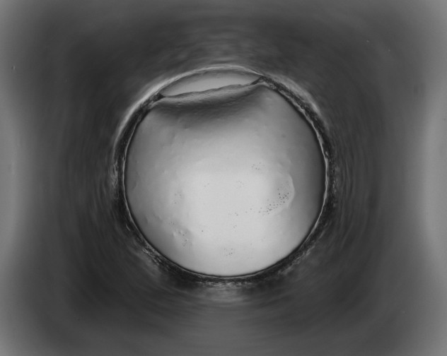 X0000083551167200703021643
