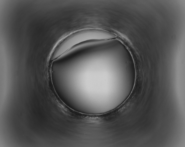 X0000083551168200703021643