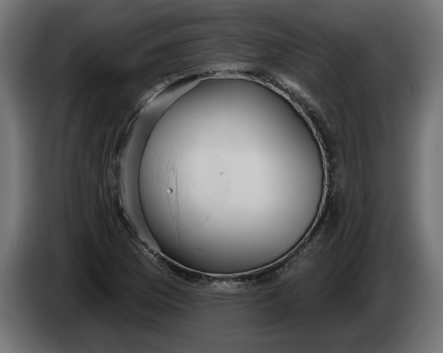X0000083551169200703021643