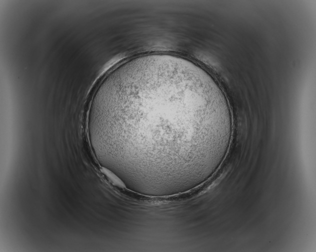X0000083551170200703021643