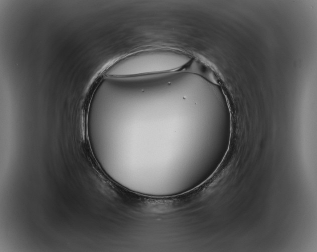 X0000083551171200703021643