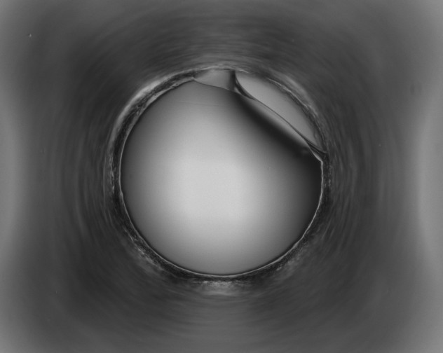 X0000083551172200703021643