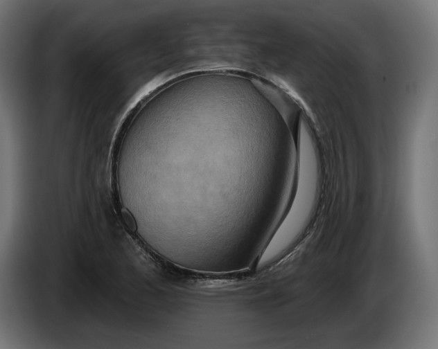 X0000083551173200703021643