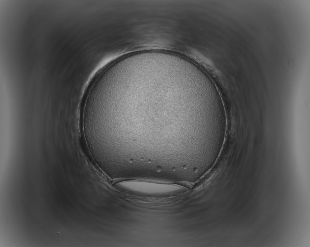 X0000083551174200703021643