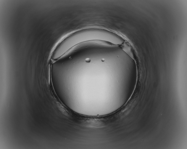 X0000083551175200703021643