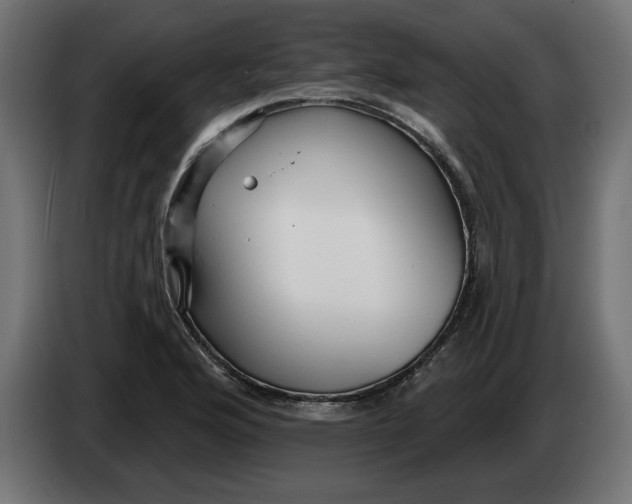 X0000083551176200703021643