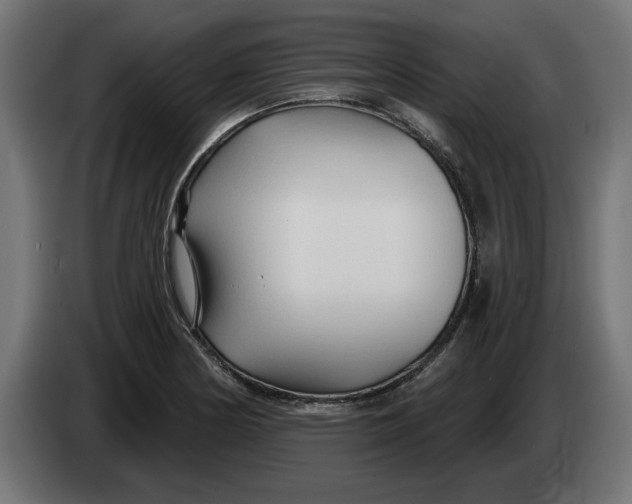 X0000083551178200703021643