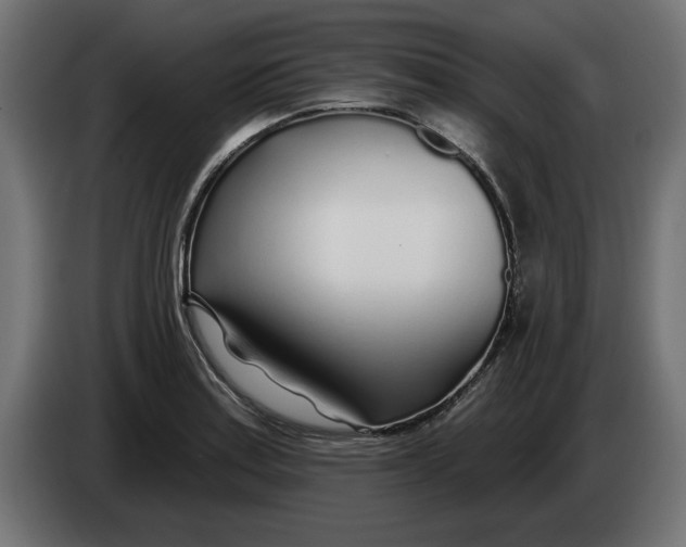 X0000083551179200703021643