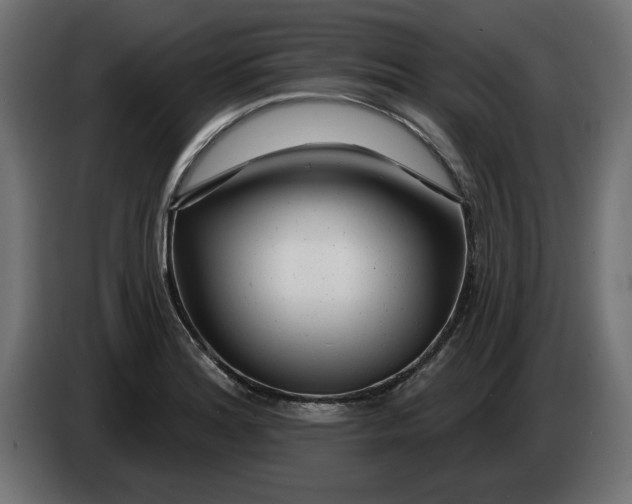 X0000083551180200703021642