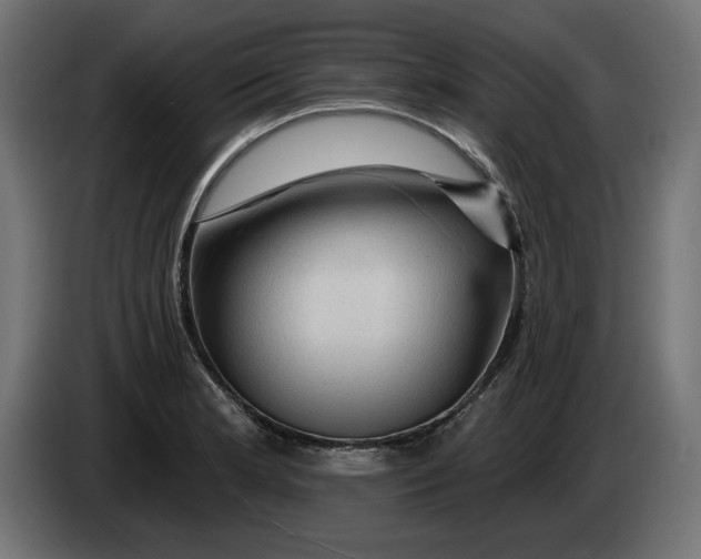 X0000083551181200703021642