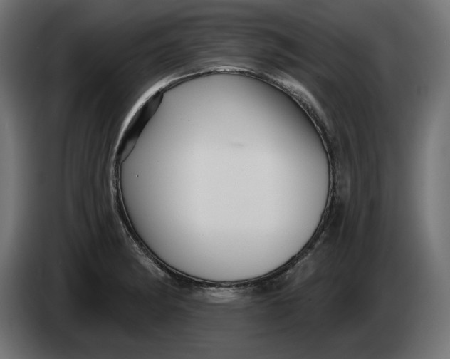 X0000083551182200703021642