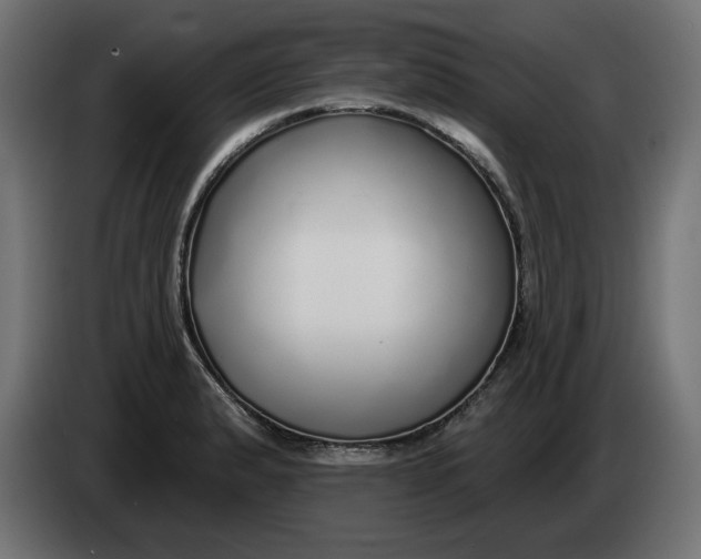 X0000083551183200703021642