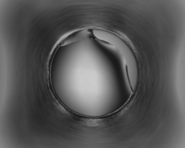 X0000083551184200703021642
