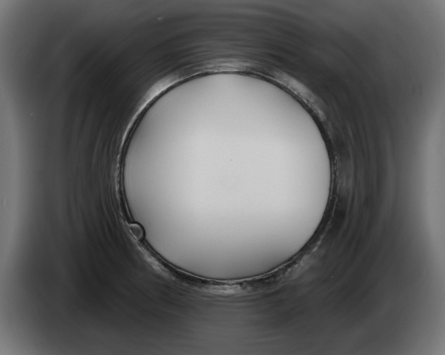 X0000083551186200703021642