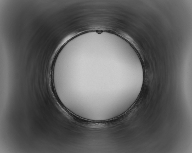 X0000083551187200703021642
