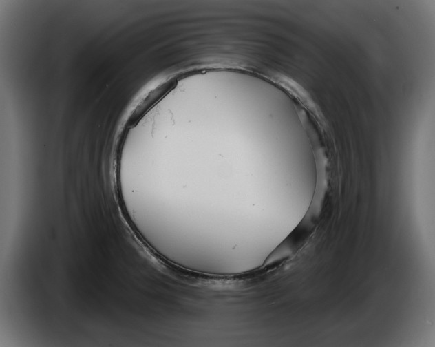 X0000083551188200703021642