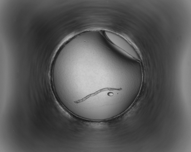 X0000083551189200703021642