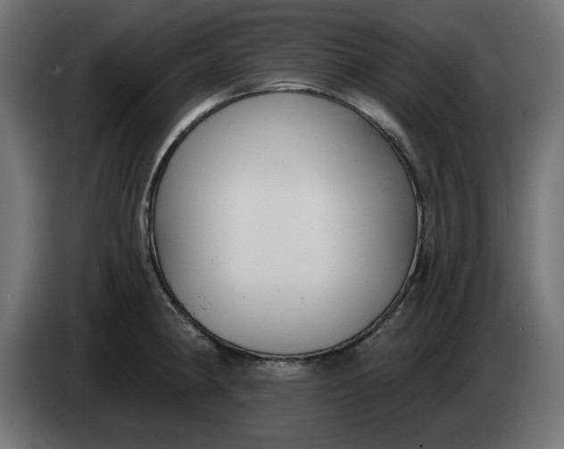 X0000083551190200703021642