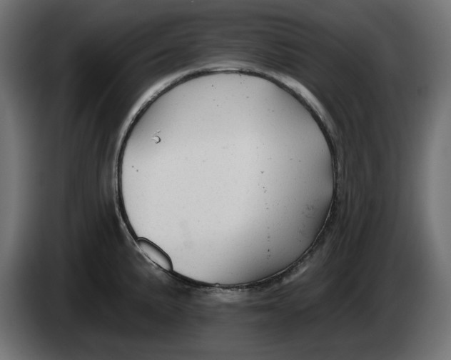 X0000083551191200703021642