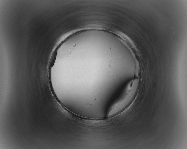 X0000083551192200703021642