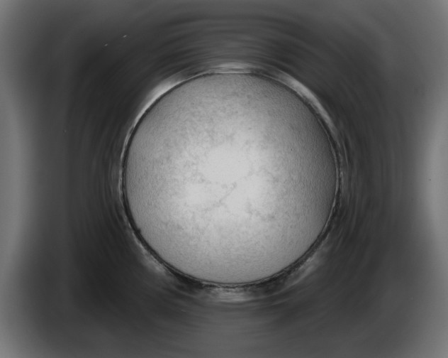 X0000083551194200703021642