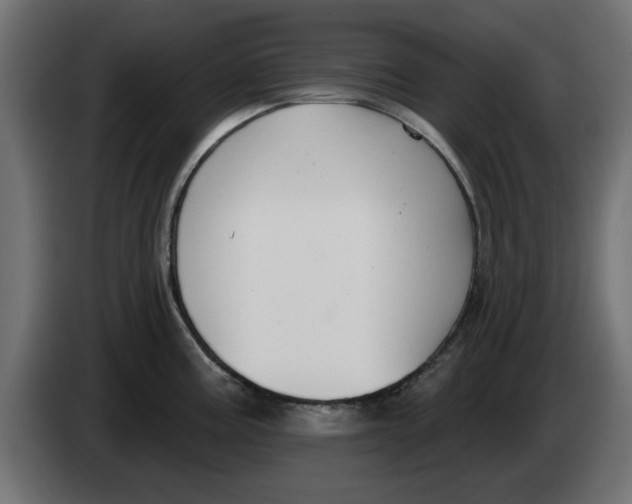 X0000083551195200703021642